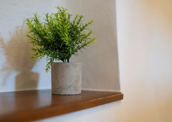 Apartamento New Duplex With View, 2 Terraces *